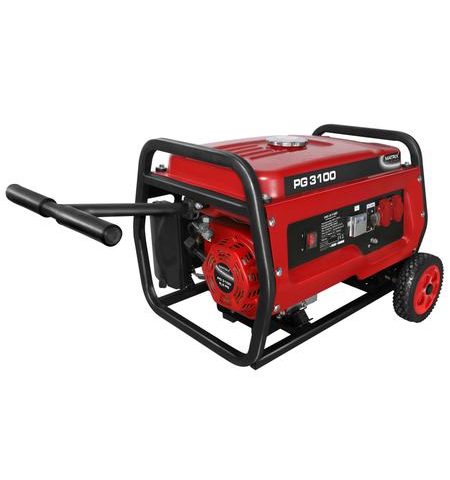 PG 3100